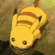 小熊