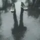 张羡光