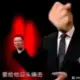 yanchen的头像-投影工坊