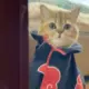 李逍遥