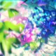 linli的头像-天机阁