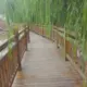 天天1-的头像-天机阁