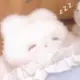 蕊