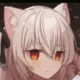 noracat