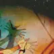 wjd894324566的头像-投影工坊