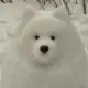 2638098750