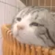 2633