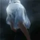liu147888的头像-天机阁