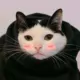 疯子