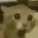 victor