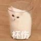 月落五题月落五题