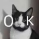 cggggg
