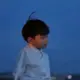 0nly23的头像-投影工坊