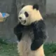 明天会放晴吗的头像-天机阁
