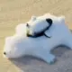 驱蚊器