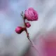 无情