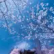 E52021ee3dd6d38e4