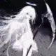 完美