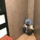 博