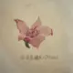 unicorn088的头像-投影工坊