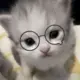 Babok