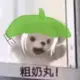 wefqaferg