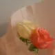 E876a35408e34792b