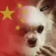 GRAGE的头像-投影工坊