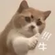 李