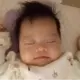 稻香居士