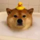马叔