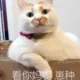 天亮_后说晚安