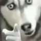 lin