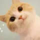 网友昵称：涸澤之漁