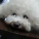 Rokk的头像-投影工坊