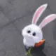 aaaaaaa