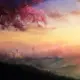 a1968666529的头像-天机阁