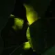 AHDAHSDA的头像-投影工坊