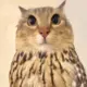 。。。