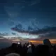 苗苗