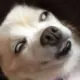 1131