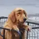 zhzhz