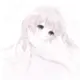 优郁