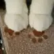 啊啊啊