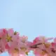 韩浩