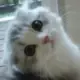 zzzhhhrrr