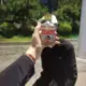 林七夜