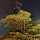 湖北SEO