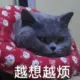 qq873062505的头像-天机阁