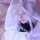 许先生zg
